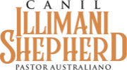 LOGO Canil Illimani NORMAL.png