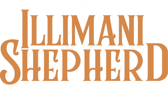 LOGO Canil Illimani BRANCO.png